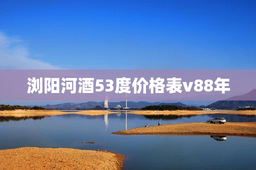 浏阳河酒53度价格表v88年