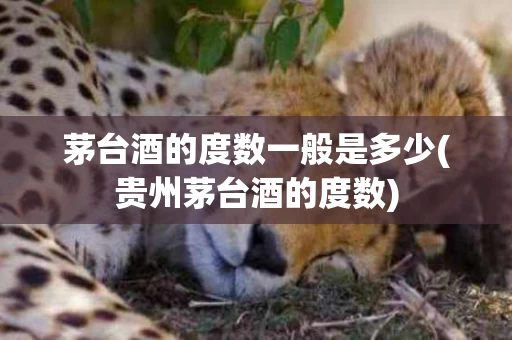 茅台酒的度数一般是多少(贵州茅台酒的度数)
