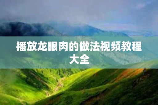 播放龙眼肉的做法视频教程大全