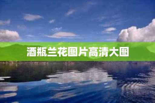 酒瓶兰花图片高清大图