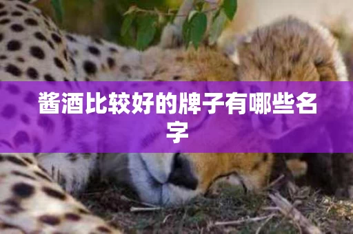 酱酒比较好的牌子有哪些名字