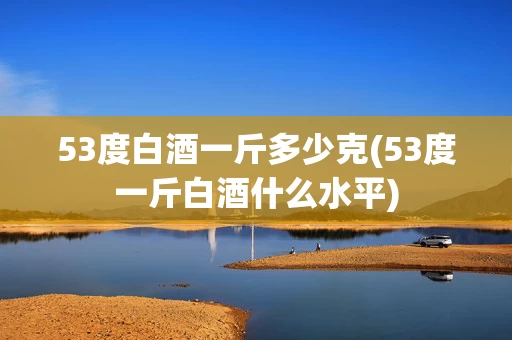 53度白酒一斤多少克(53度一斤白酒什么水平)