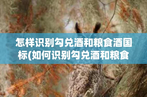 怎样识别勾兑酒和粮食酒国标(如何识别勾兑酒和粮食酒)
