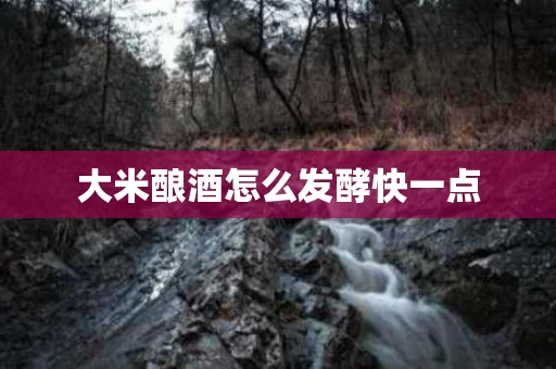 大米酿酒怎么发酵快一点