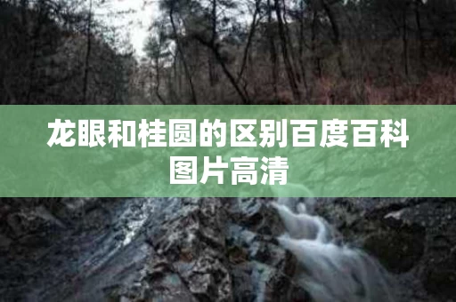 龙眼和桂圆的区别百度百科图片高清