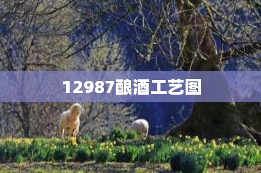 12987酿酒工艺图