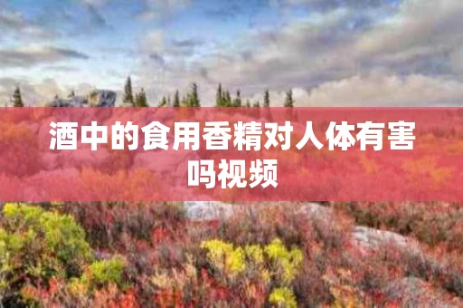 酒中的食用香精对人体有害吗视频