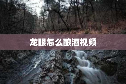 龙眼怎么酿酒视频