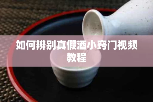 如何辨别真假酒小窍门视频教程