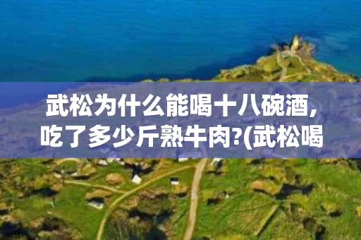 武松为什么能喝十八碗酒,吃了多少斤熟牛肉?(武松喝了十八碗酒相当现在多少酒)