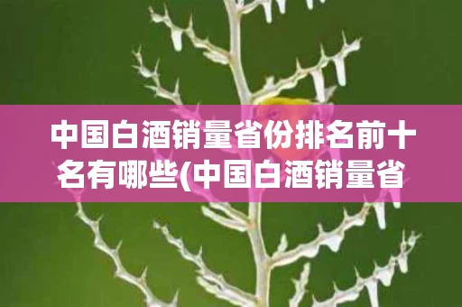 中国白酒销量省份排名前十名有哪些(中国白酒销量省份排名前十名有哪些呢)
