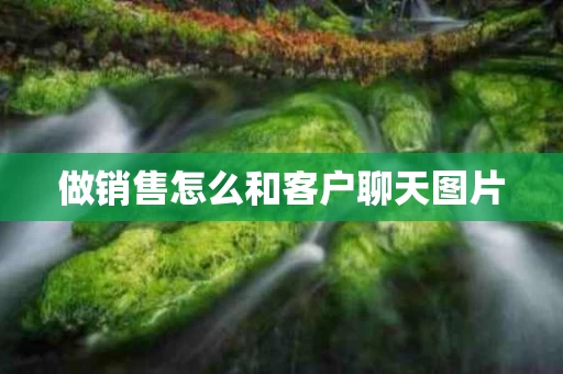 做销售怎么和客户聊天图片