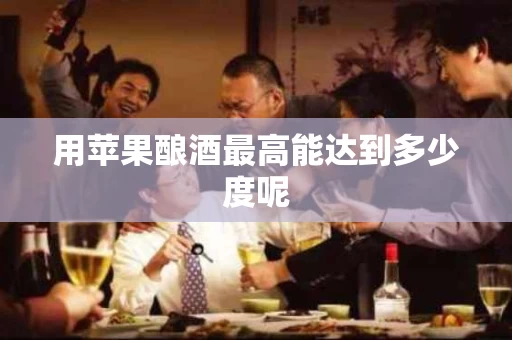 用苹果酿酒最高能达到多少度呢