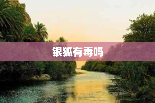 银狐有毒吗