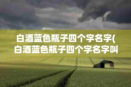 白酒蓝色瓶子四个字名字(白酒蓝色瓶子四个字名字叫什么)