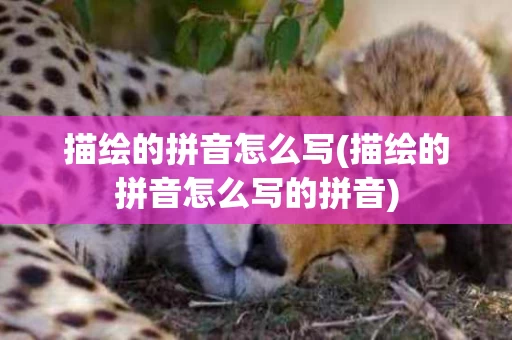 描绘的拼音怎么写(描绘的拼音怎么写的拼音)