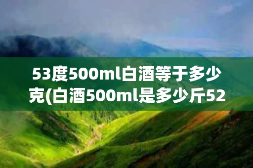 53度500ml白酒等于多少克(白酒500ml是多少斤52度)