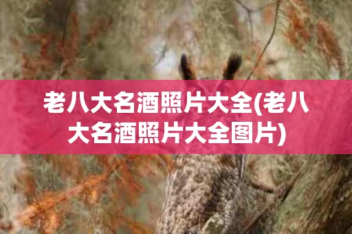老八大名酒照片大全(老八大名酒照片大全图片)