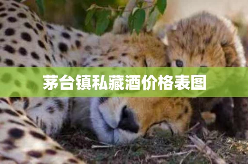 茅台镇私藏酒价格表图