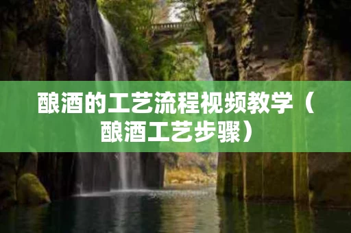 酿酒的工艺流程视频教学（酿酒工艺步骤）