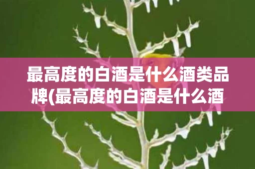 最高度的白酒是什么酒类品牌(最高度的白酒是什么酒类品牌的)