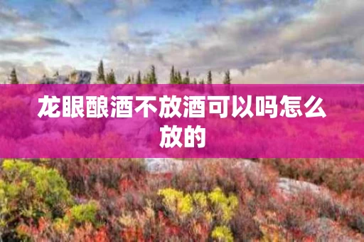 龙眼酿酒不放酒可以吗怎么放的