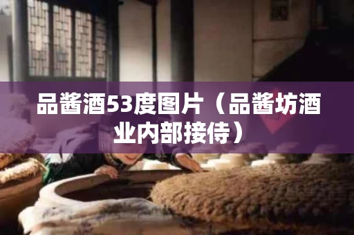 品酱酒53度图片(品酱坊酒业内部接侍) 品酱酒53度图片(品酱坊酒业内部接侍)