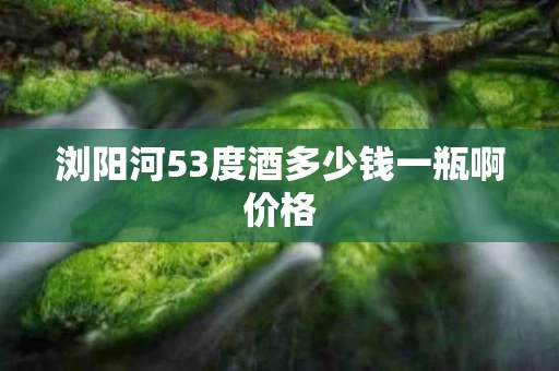 浏阳河53度酒多少钱一瓶啊价格