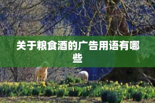 关于粮食酒的广告用语有哪些