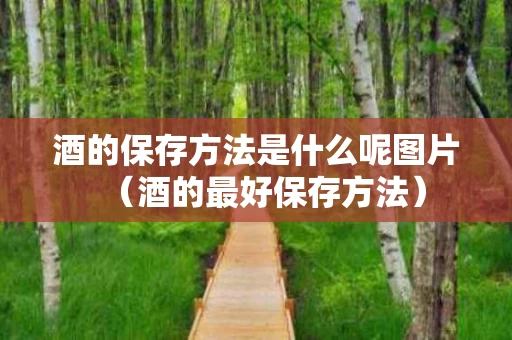 酒的保存方法是什么呢图片（酒的最好保存方法）