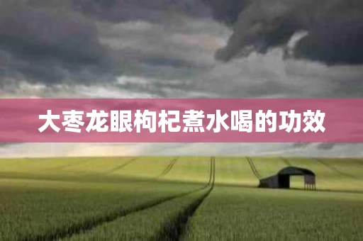 大枣龙眼枸杞煮水喝的功效