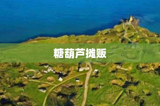 糖葫芦摊贩