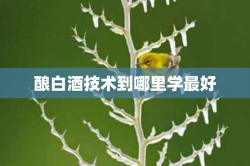 酿白酒技术到哪里学最好
