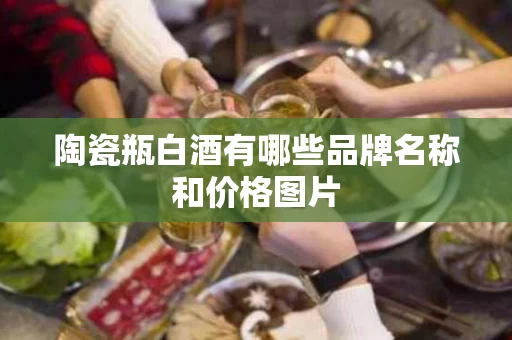 陶瓷瓶白酒有哪些品牌名称和价格图片