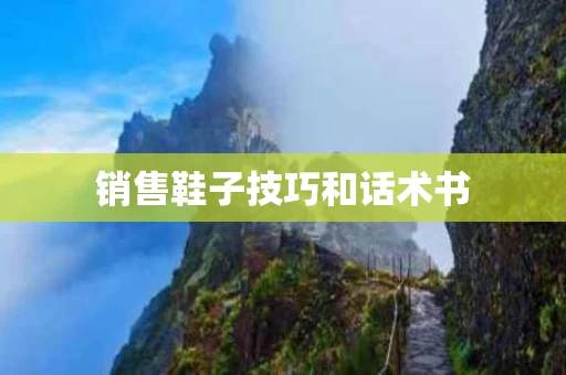 销售鞋子技巧和话术书