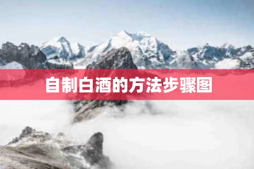 自制白酒的方法步骤图