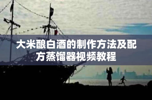 大米酿白酒的制作方法及配方蒸馏器视频教程