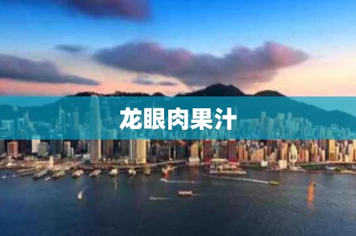 龙眼肉果汁