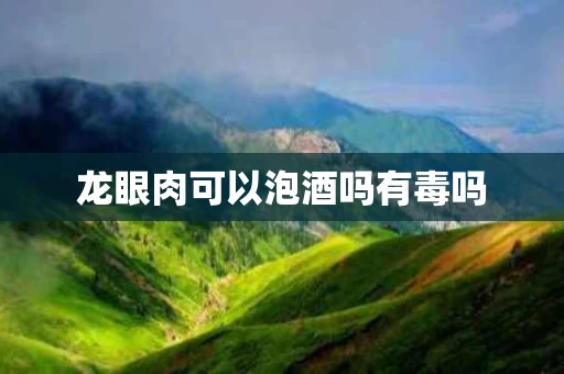 龙眼肉可以泡酒吗有毒吗
