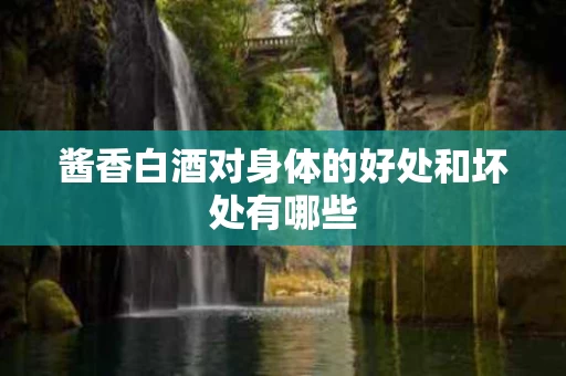酱香白酒对身体的好处和坏处有哪些