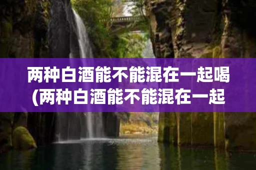 两种白酒能不能混在一起喝(两种白酒能不能混在一起喝呢)