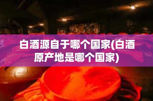 白酒源自于哪个国家(白酒原产地是哪个国家)