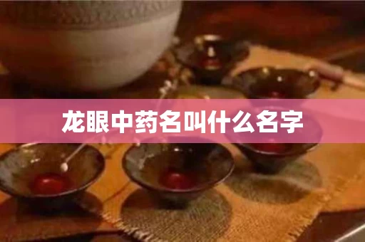 龙眼中药名叫什么名字