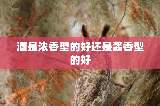 酒是浓香型的好还是酱香型的好