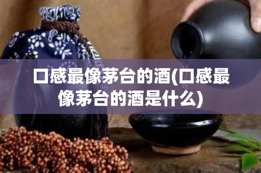 口感最像茅台的酒(口感最像茅台的酒是什么)