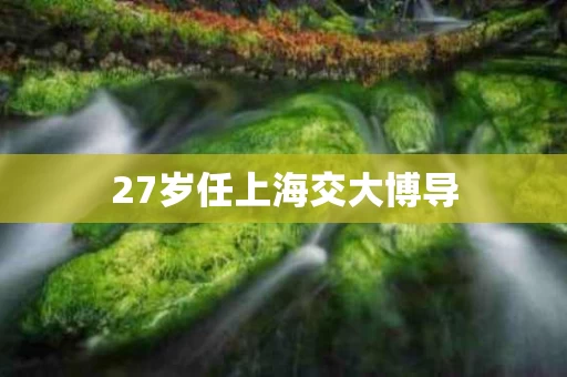 27岁任上海交大博导