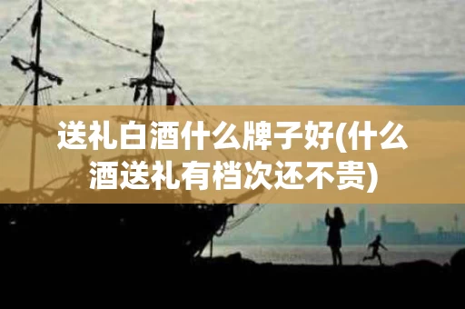 送礼白酒什么牌子好(什么酒送礼有档次还不贵)