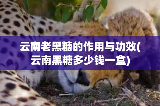 云南老黑糖的作用与功效(云南黑糖多少钱一盒) 云南老黑糖的作用与功效(云南黑糖多少钱一盒)