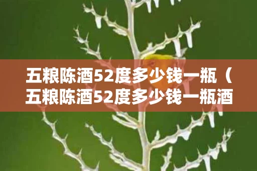 五粮陈酒52度多少钱一瓶（五粮陈酒52度多少钱一瓶酒怎么样）