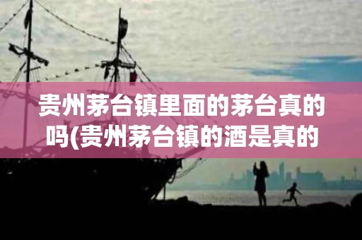 贵州茅台镇里面的茅台真的吗(贵州茅台镇的酒是真的吗)